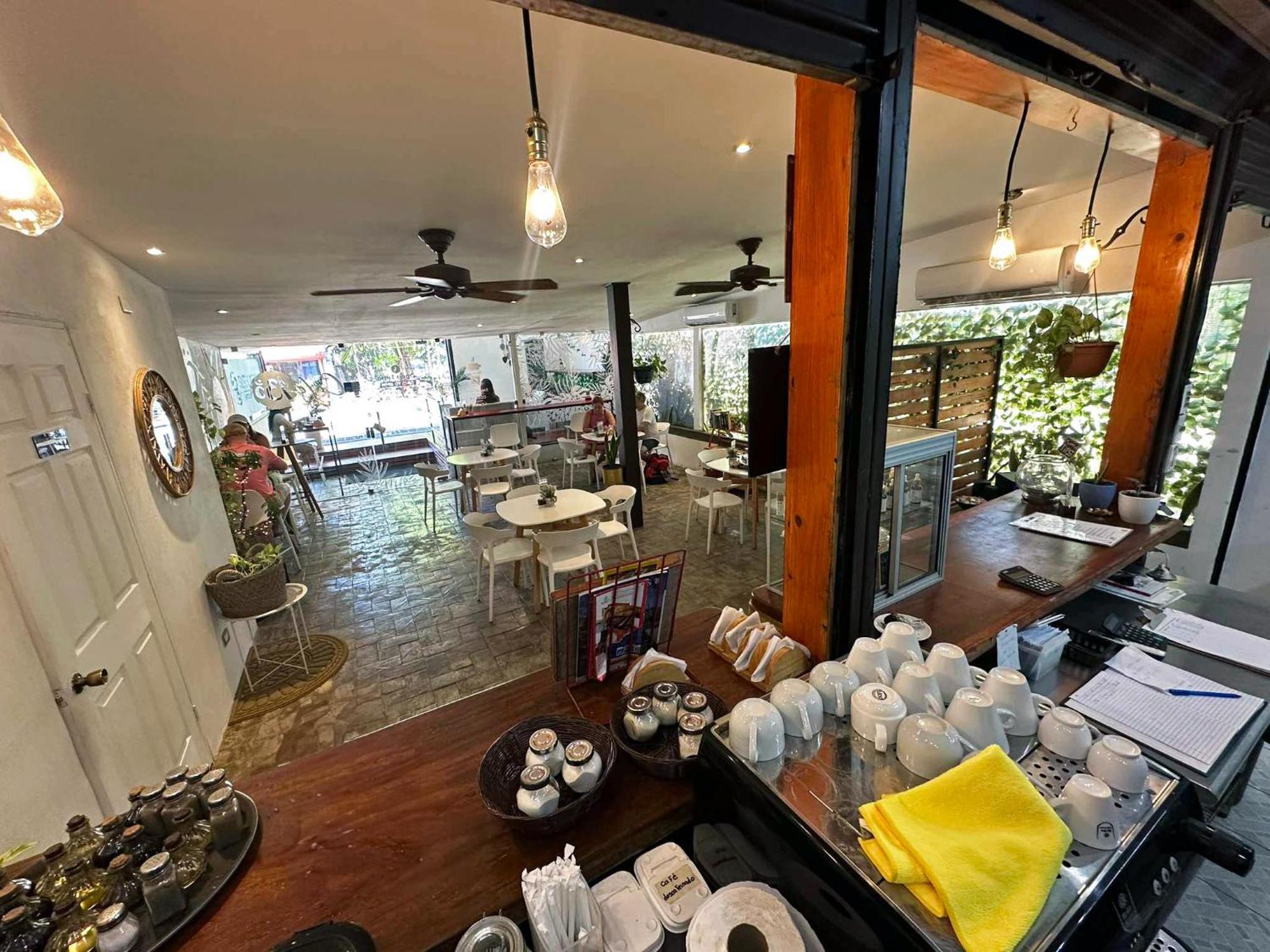 Hotel Surf Ranch Tamarindo Extérieur photo